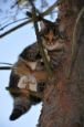 Chieri_2011_22
