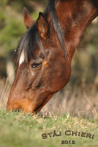 Chieri_2012_09
