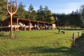 Chieri_2013_39