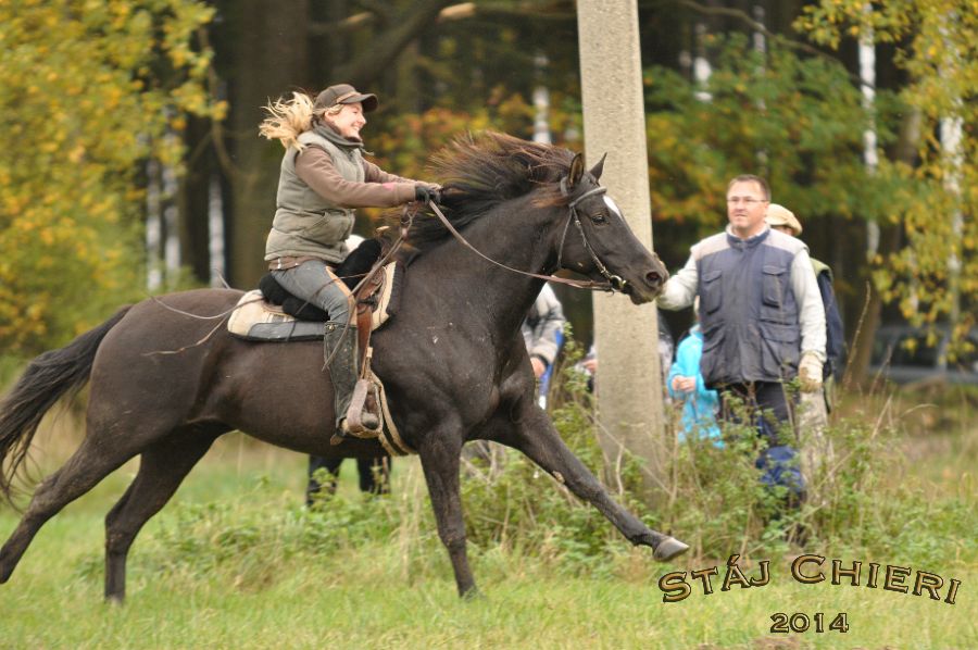 Kone_2014_30