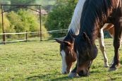 Kone_2014_03