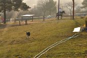 Kone_2014_16