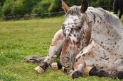 Kone_2014_18