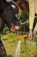 Kone_2014_21