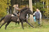 Kone_2014_30