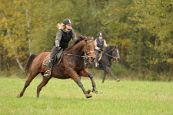 Kone_2014_32