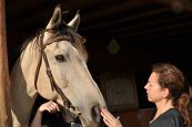 Kone_2014_35