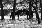 Kone_2014_46