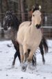 Kone_2016_09