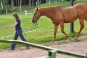 Kone_2016_53
