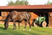 Kone_2016_62