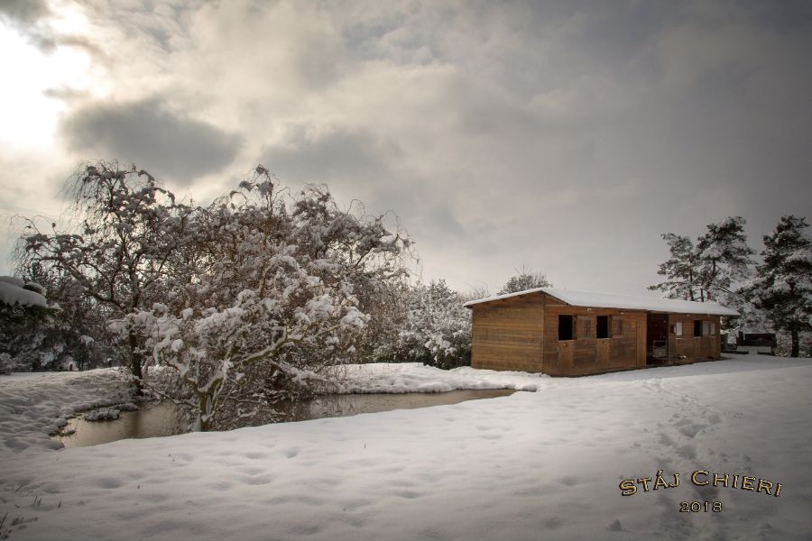 StajChieri2018_04