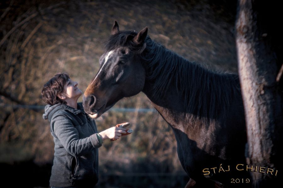 StajChieri2019_17