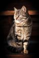 StajChieri2019_32