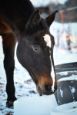 chieri_2022_29
