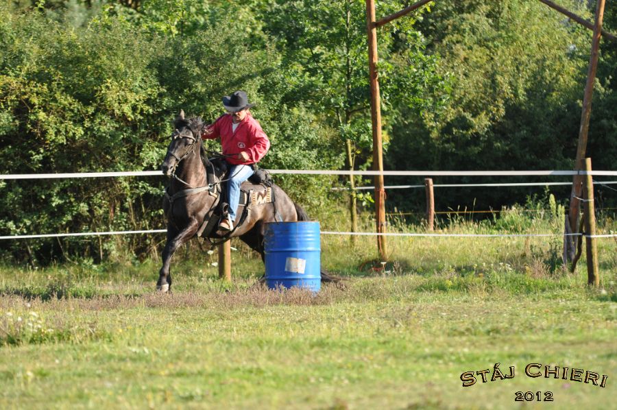 Chieri_beran_2012_06