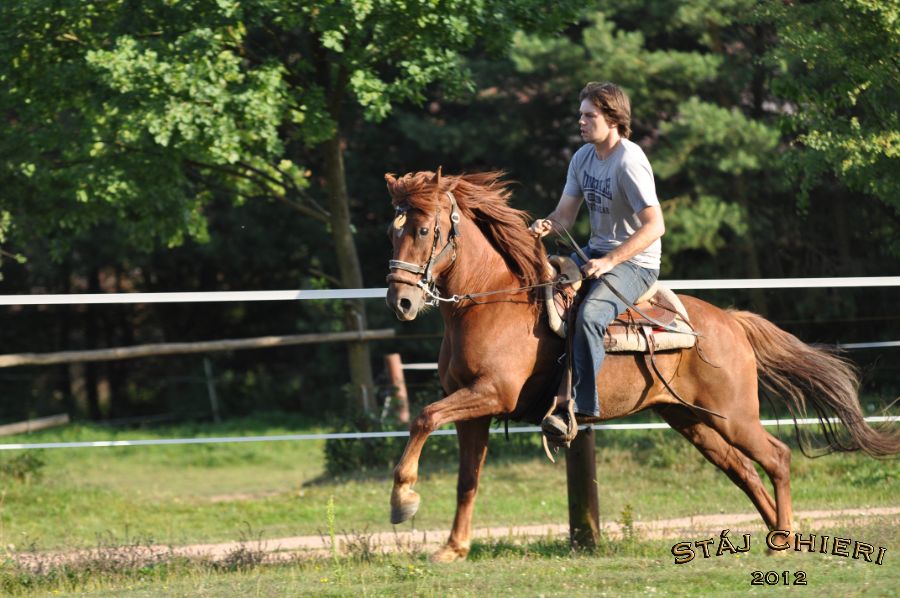 Chieri_beran_2012_12