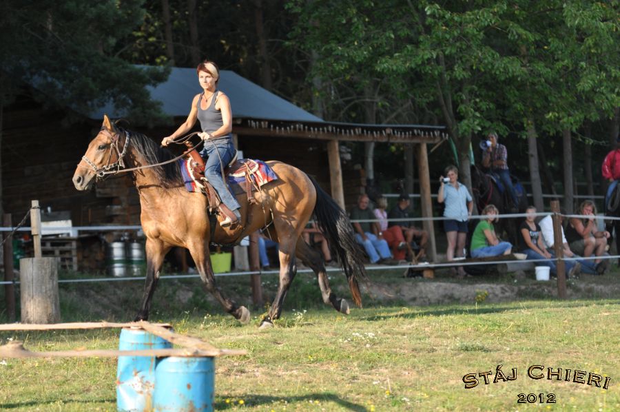Chieri_beran_2012_15