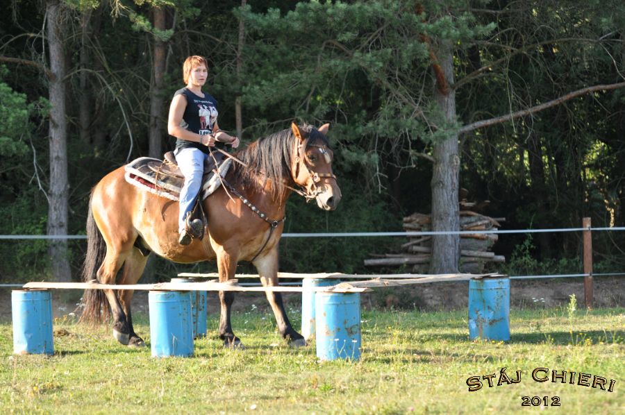 Chieri_beran_2012_20