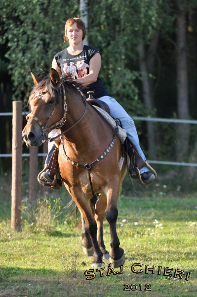 Chieri_beran_2012_21