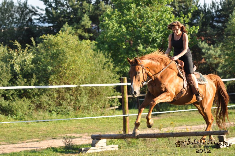 Chieri_beran_2012_32