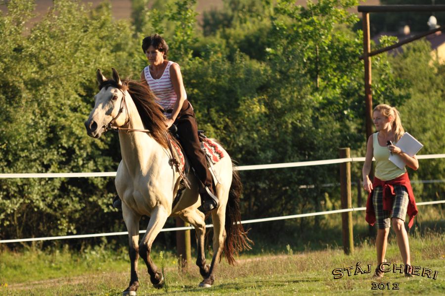 Chieri_beran_2012_35