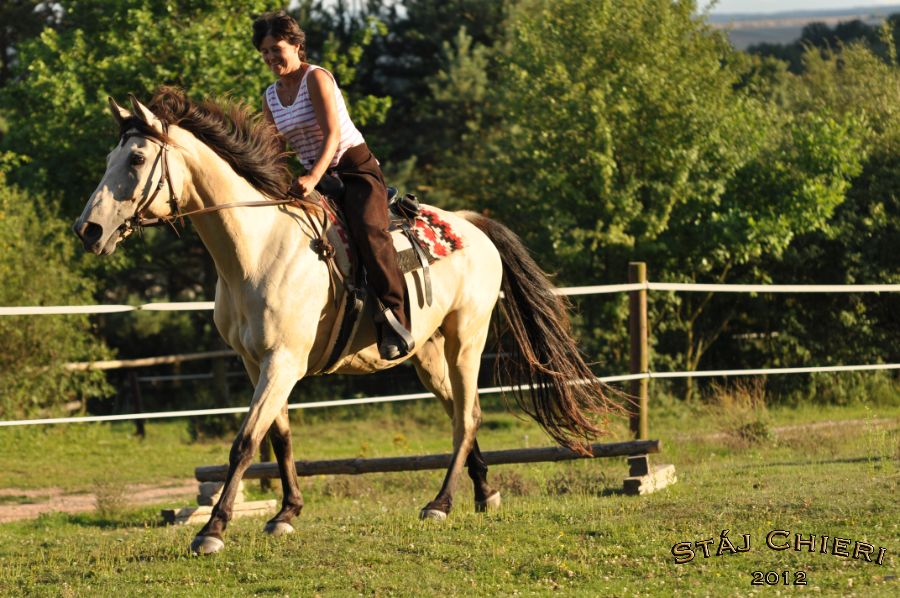 Chieri_beran_2012_36