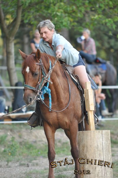 Chieri_beran_2012_38