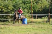 Chieri_beran_2012_06