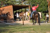 Chieri_beran_2012_07