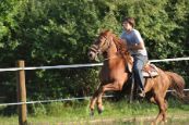 Chieri_beran_2012_11