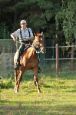 Chieri_beran_2012_18