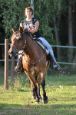 Chieri_beran_2012_21