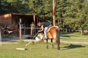 Chieri_beran_2012_22