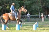 Chieri_beran_2012_28