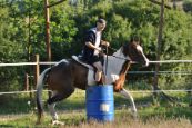 Chieri_beran_2012_30