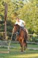 Chieri_beran_2012_41