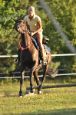 Chieri_beran_2012_47