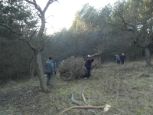 Chieri_zacatky_10