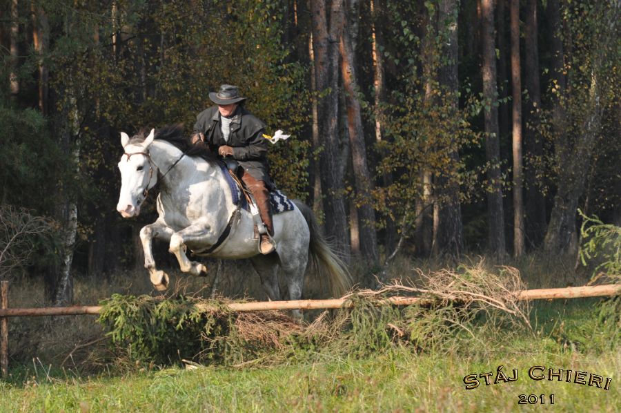 Hubertska_2011_11