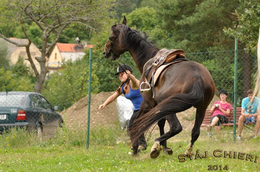 Orientak_2014_039