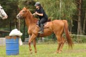 Orientak_2014_042