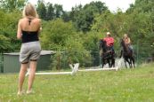 Orientak_2014_079