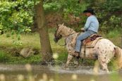 Orientak_2014_086