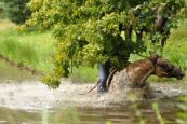 Orientak_2014_087