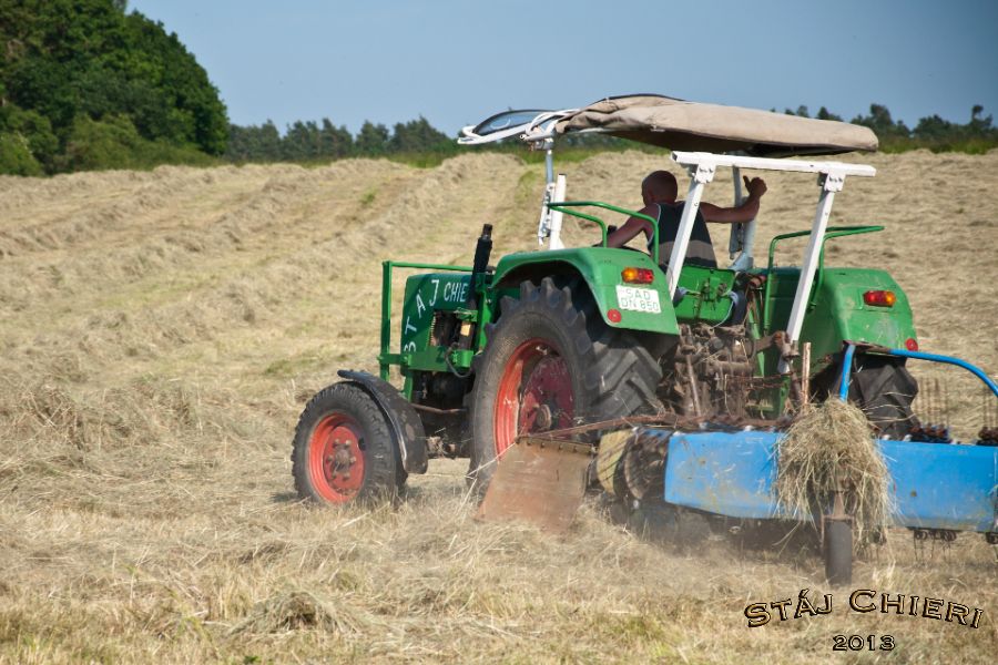 Chieri_seno_2013_04