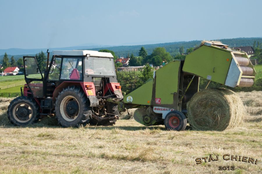 Chieri_seno_2013_05