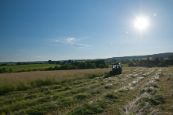 Chieri_seno_2013_01