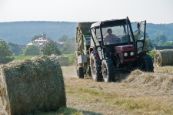 Chieri_seno_2013_09